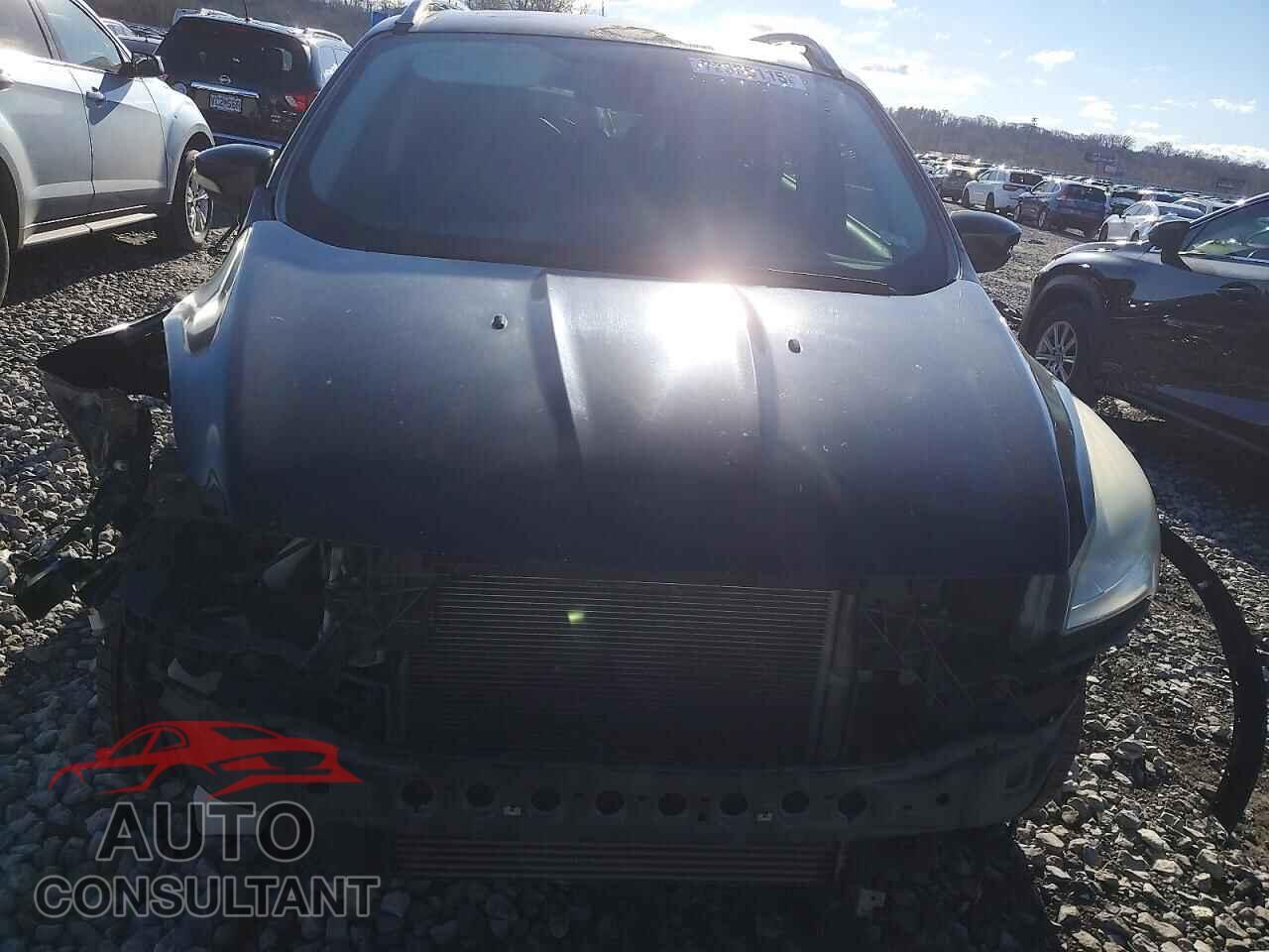 FORD ESCAPE 2014 - 1FMCU0JX0EUD99209