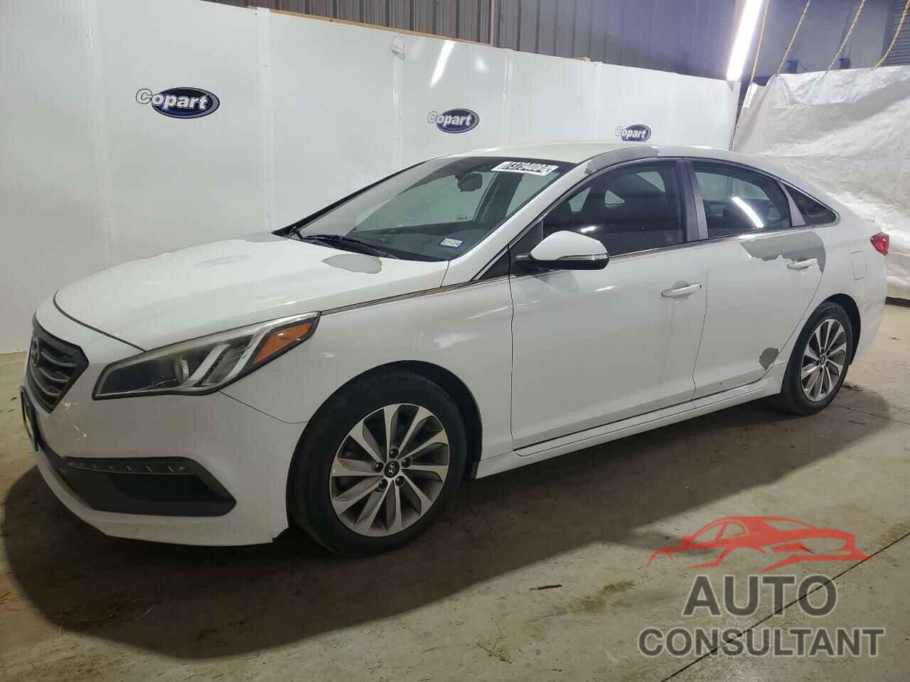 HYUNDAI SONATA 2017 - 5NPE34AF7HH499692