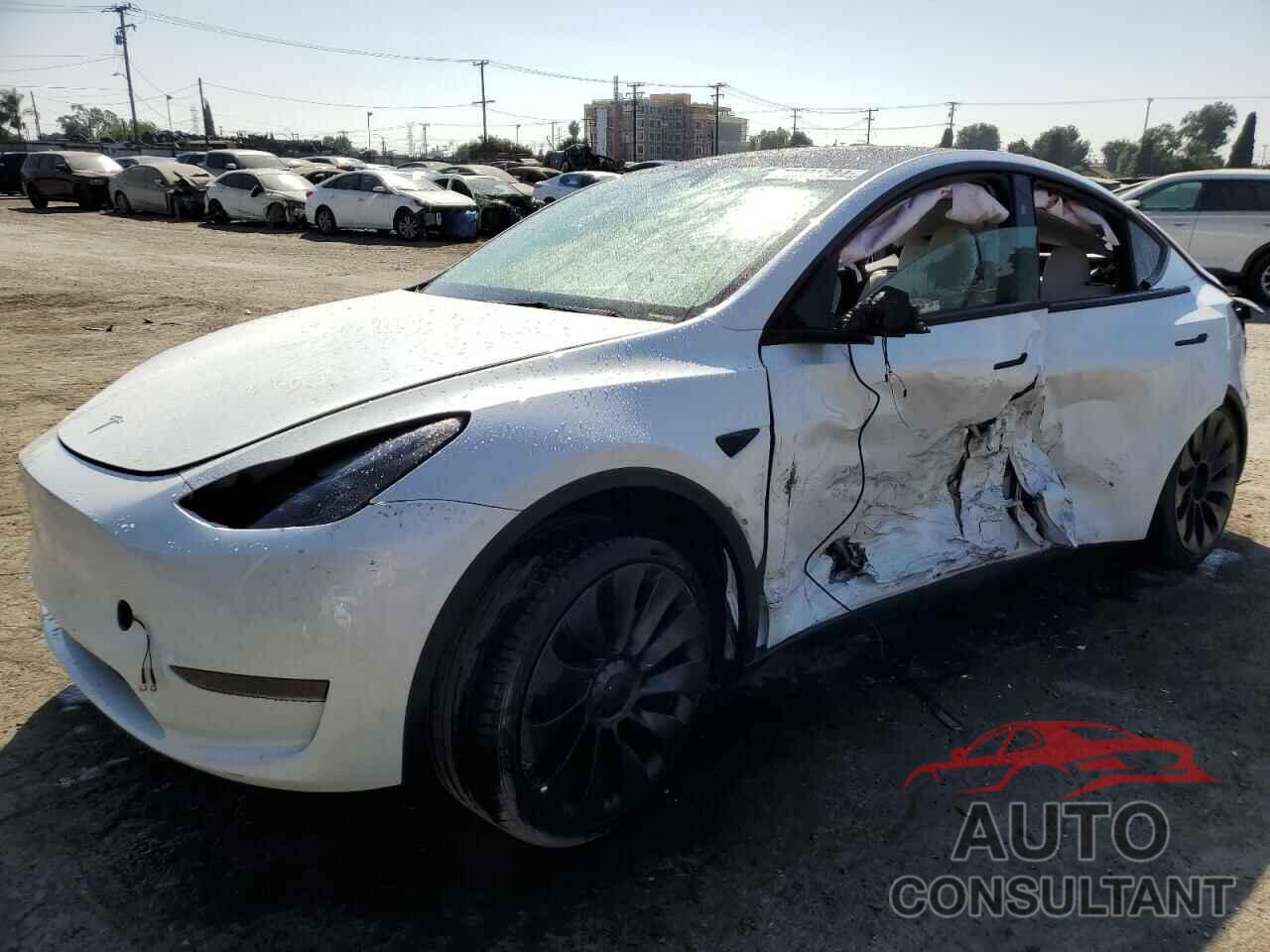 TESLA MODEL Y 2024 - 7SAYGDED1RF104449