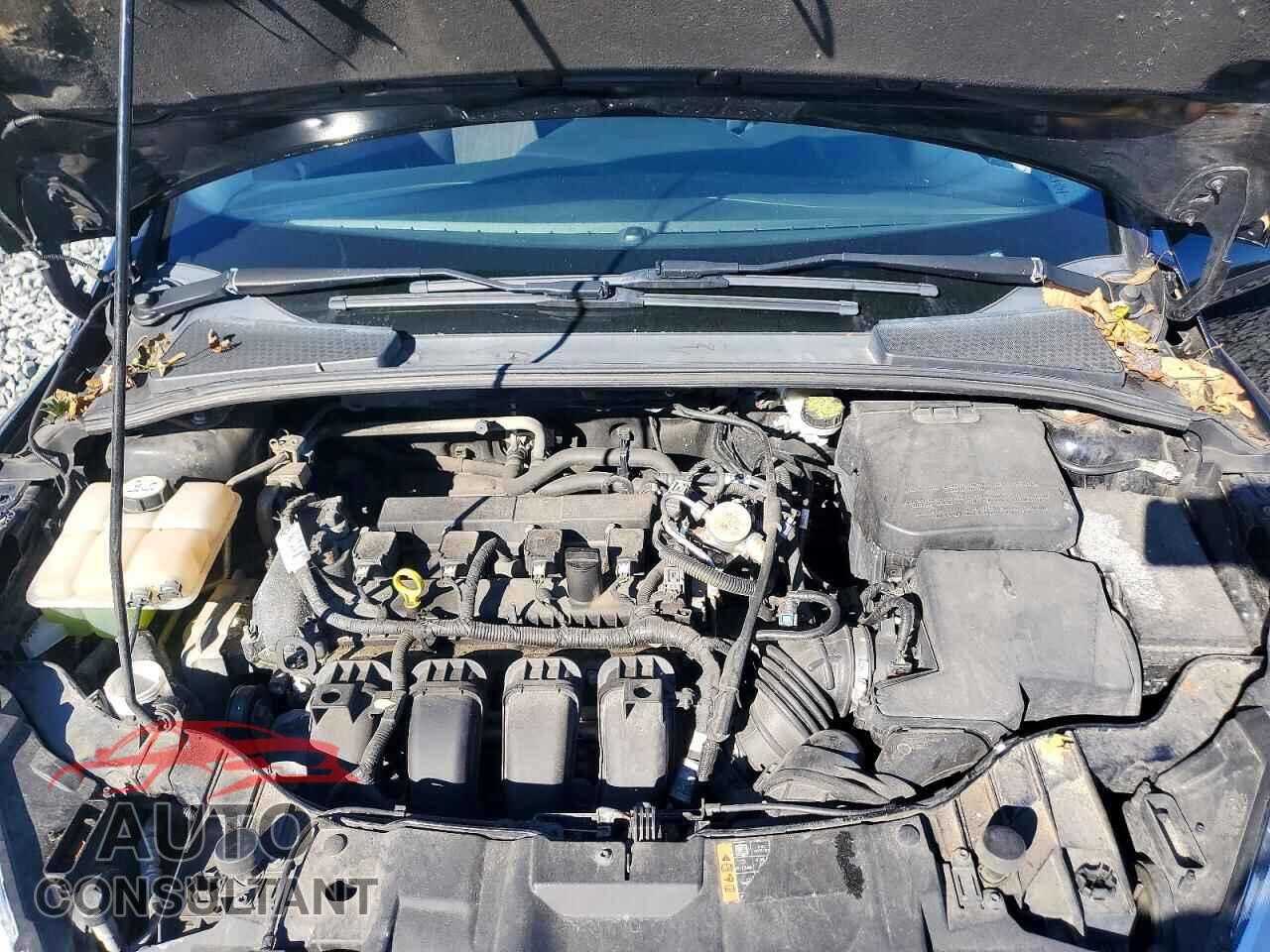 FORD FOCUS 2016 - 1FADP3F29GL368604