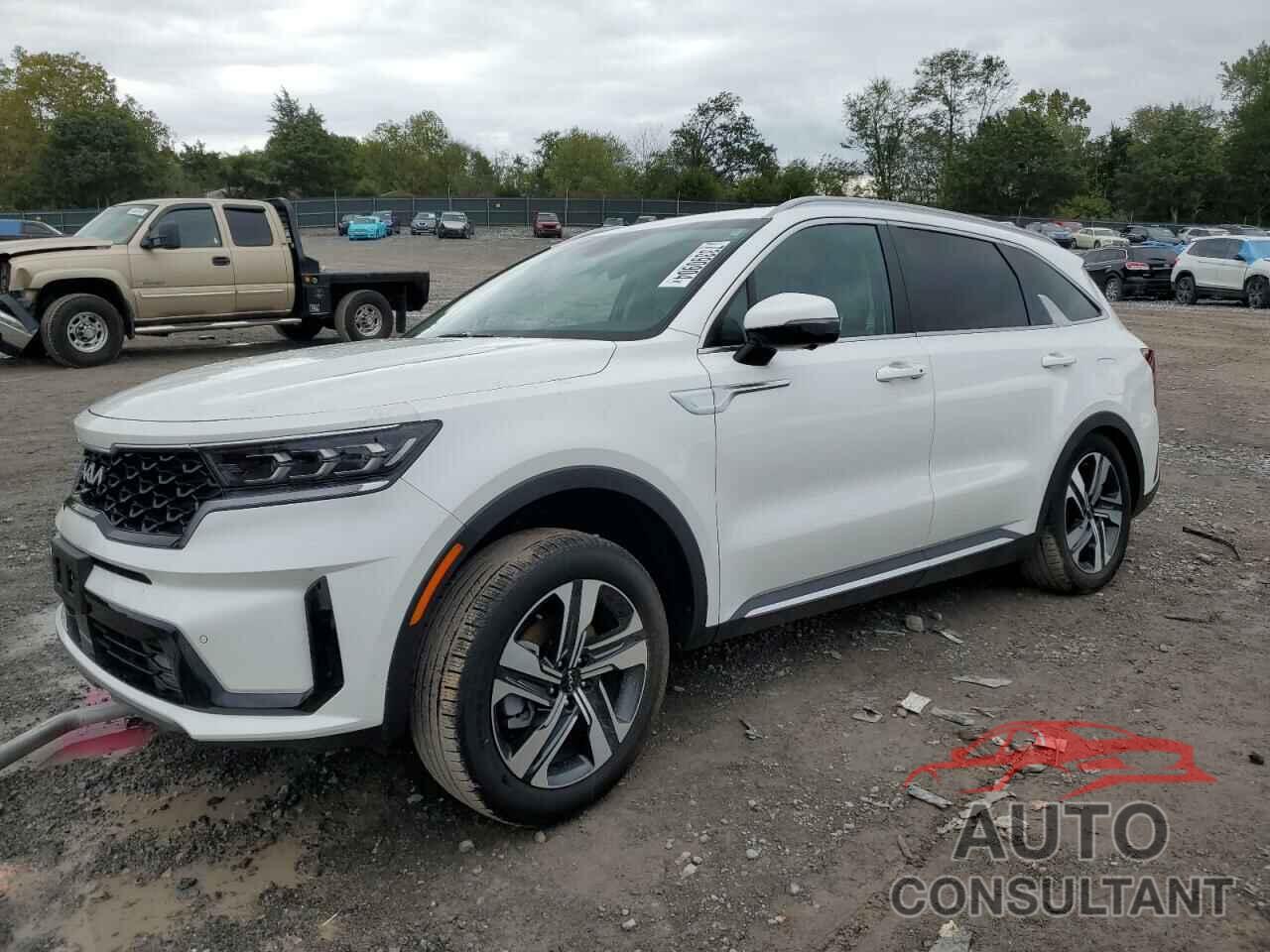 KIA SORENTO 2023 - KNDRKDLG7P5216149