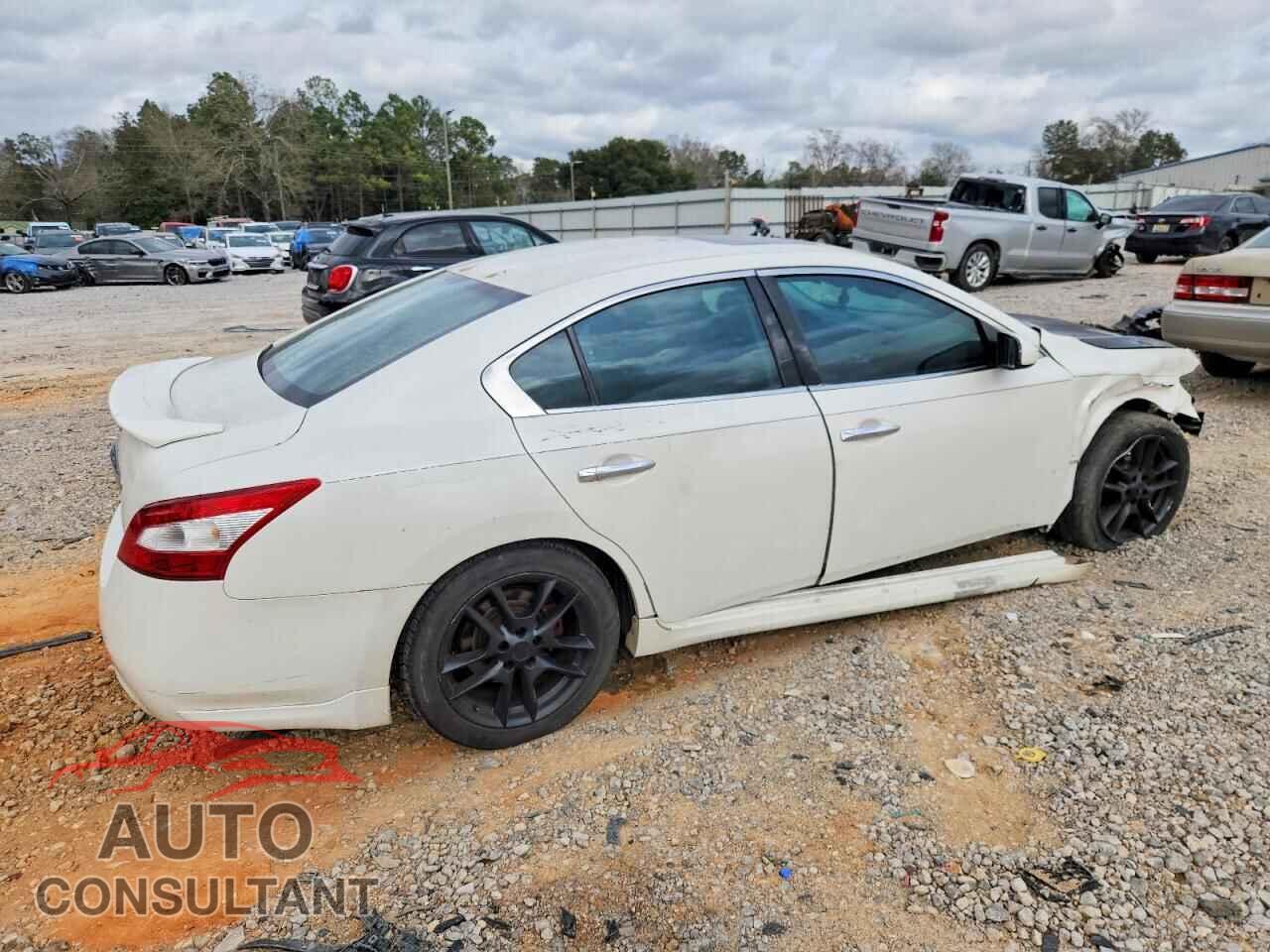 NISSAN MAXIMA 2010 - 1N4AA5AP9AC852881