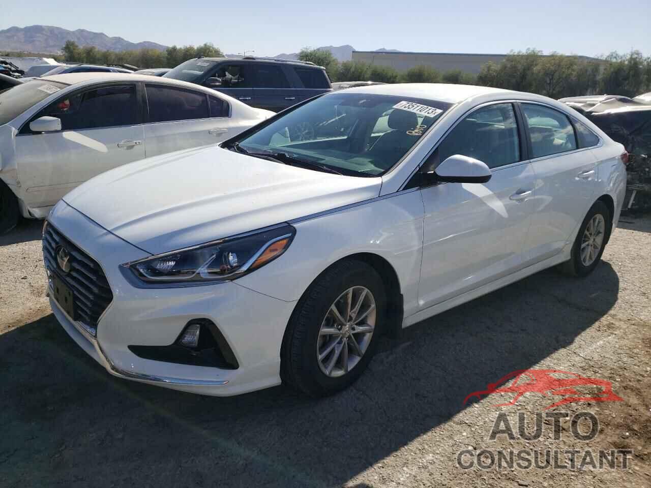 HYUNDAI SONATA 2019 - 5NPE24AF7KH806885
