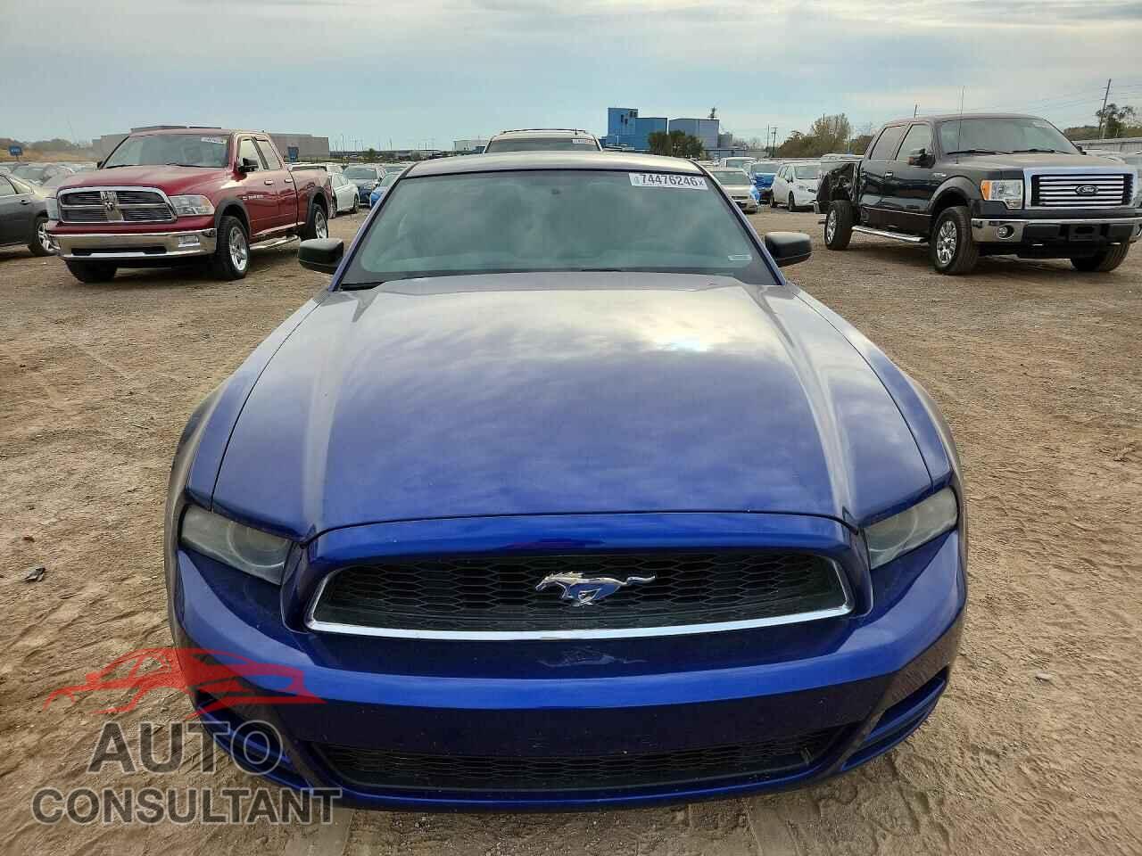 FORD MUSTANG 2013 - 1ZVBP8AM6D5258923
