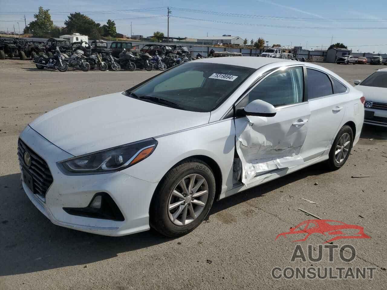 HYUNDAI SONATA 2019 - 5NPE24AF1KH792496