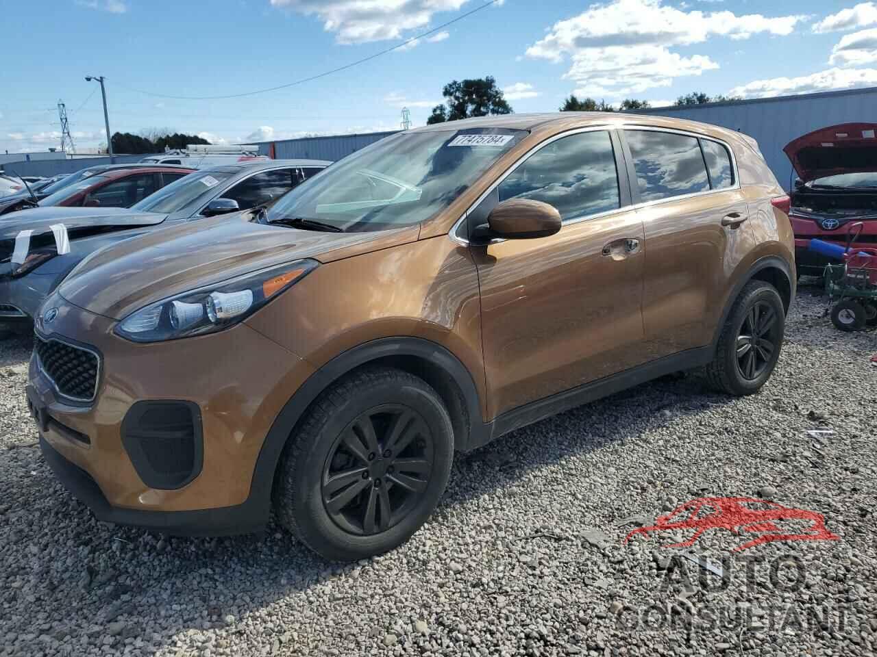 KIA SPORTAGE 2019 - KNDPM3AC5K7620446