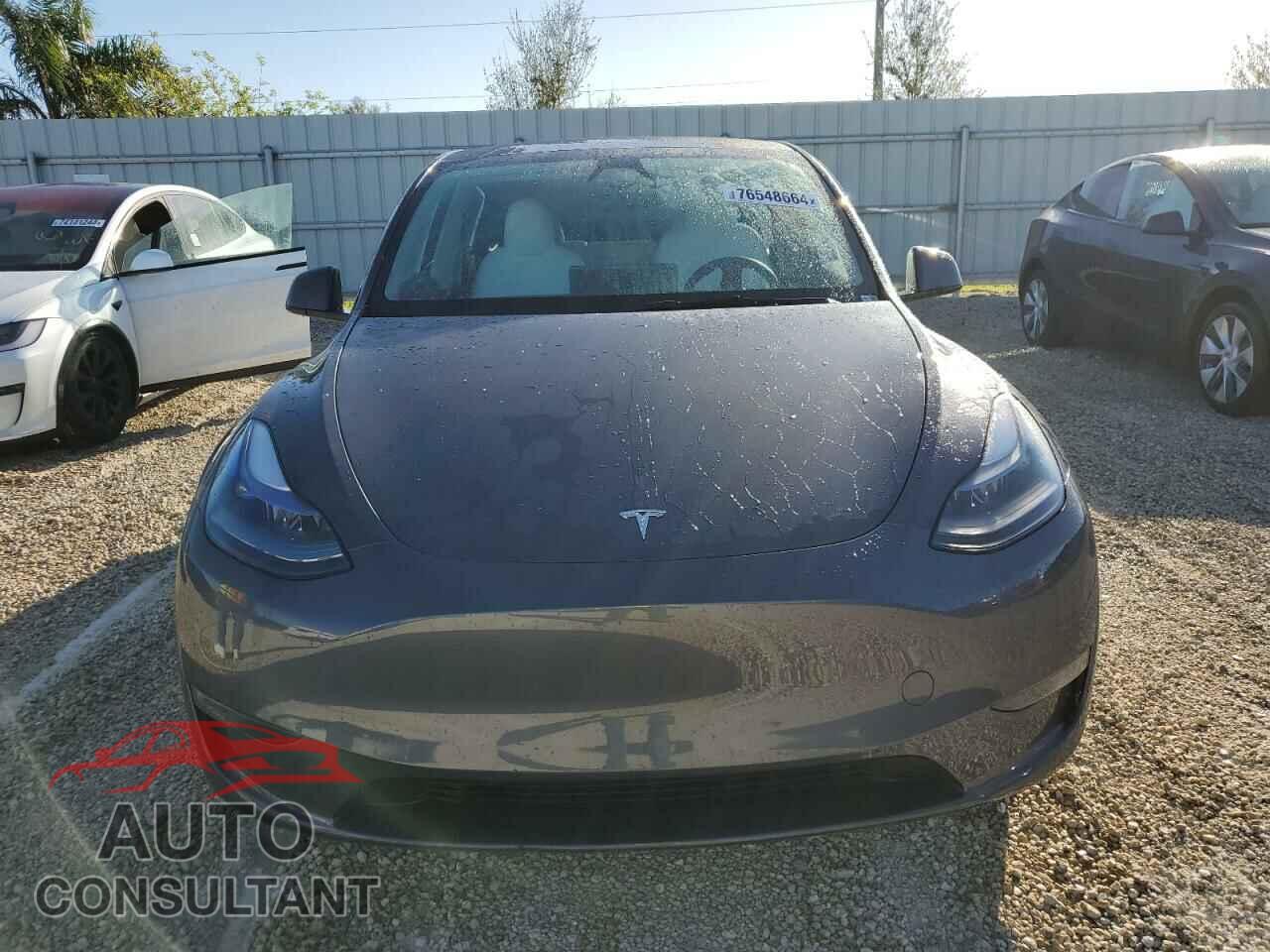 TESLA MODEL 3 2021 - 5YJ3E1EC2MF856219