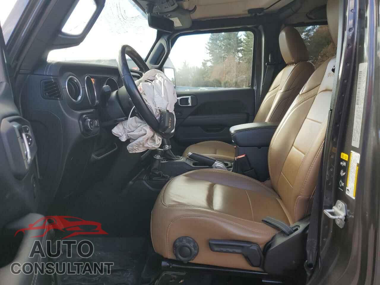 JEEP GLADIATOR 2020 - 1C6HJTFG3LL166397