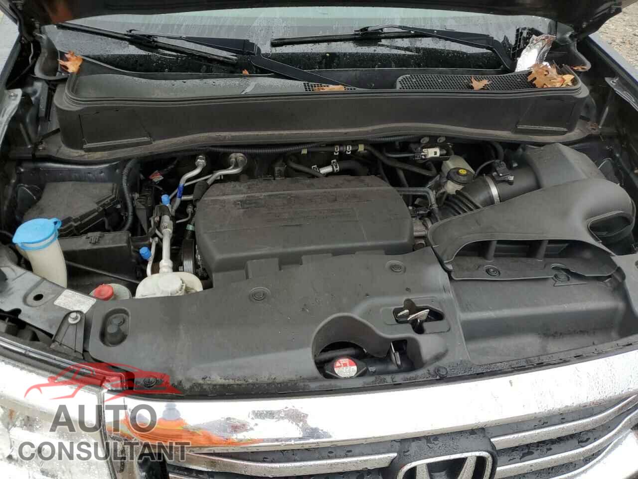 HONDA PILOT 2013 - 5FNYF4H9XDB061715