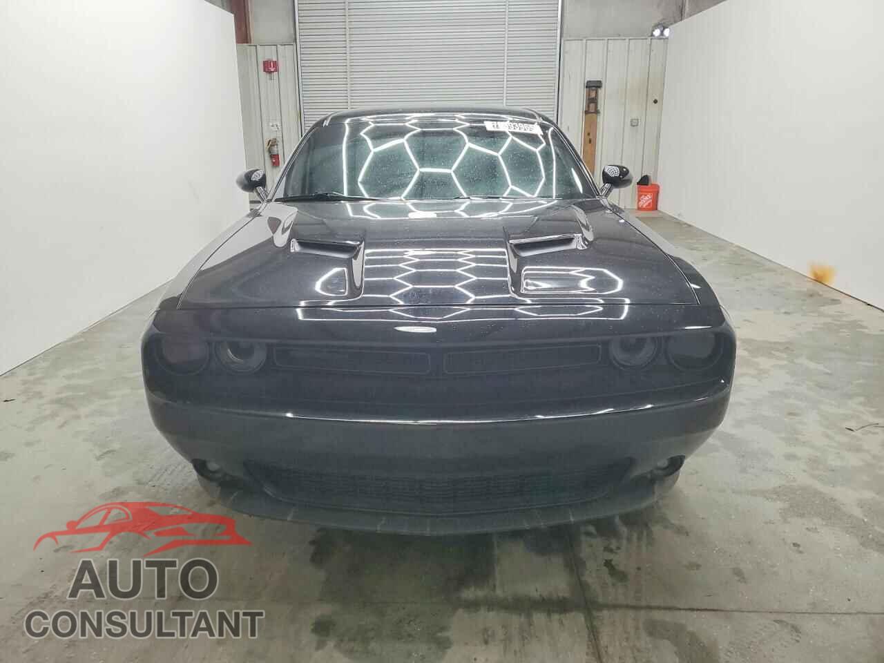 DODGE CHALLENGER 2019 - 2C3CDZAG7KH521687