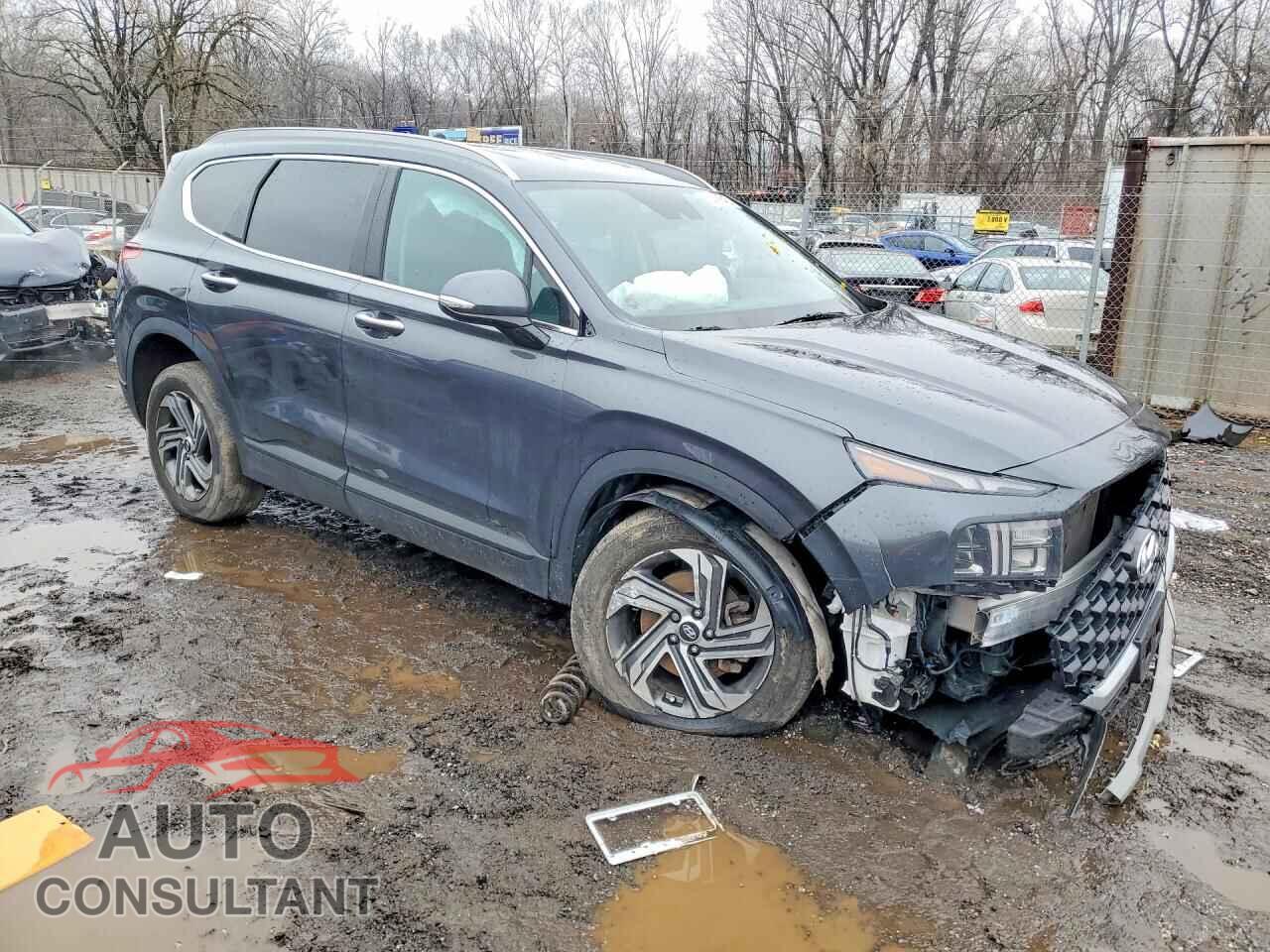 HYUNDAI SANTA FE 2023 - 5NMS2DAJ0PH631830