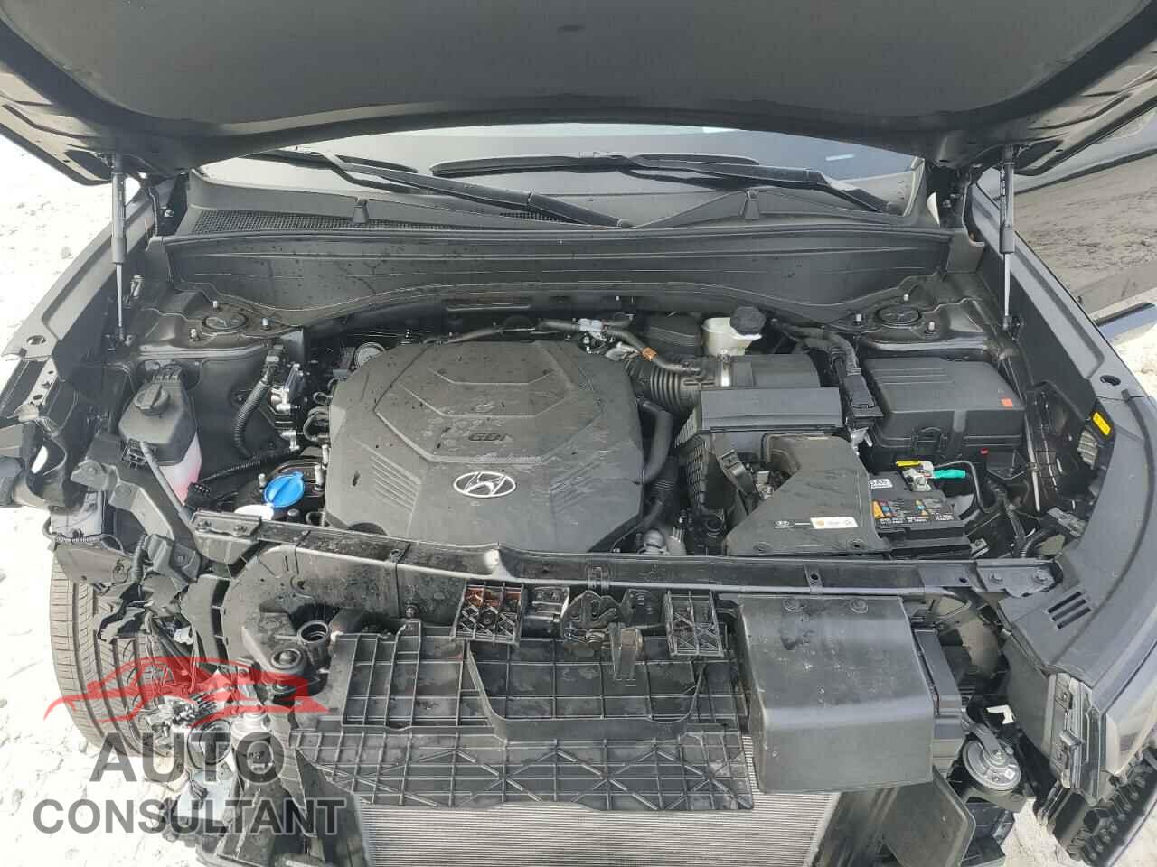 HYUNDAI PALISADE 2024 - KM8R7DGEXRU790792
