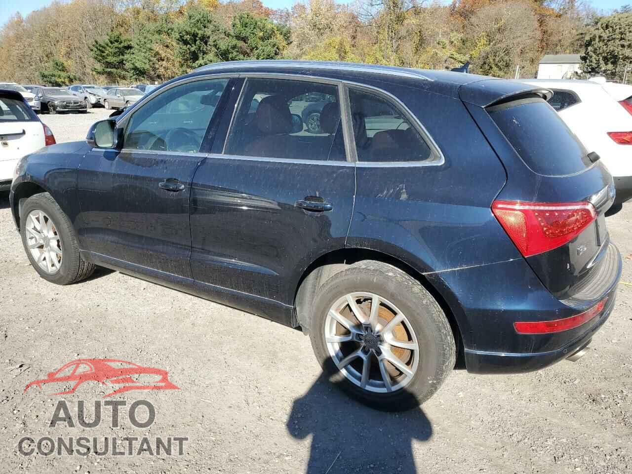 AUDI Q5 2010 - WA1LKAFP8AA100886