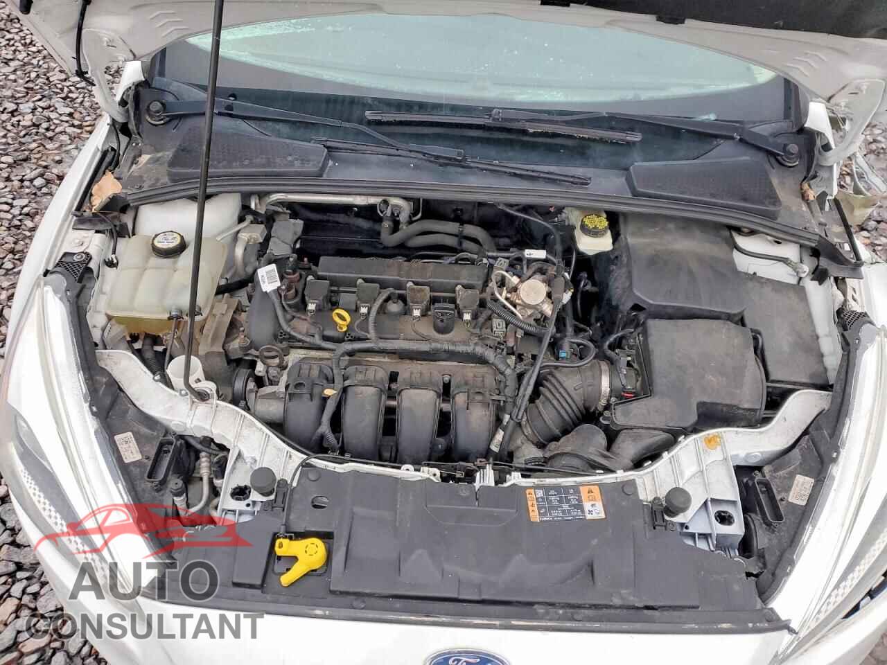 FORD FOCUS 2017 - 1FADP3E2XHL312593