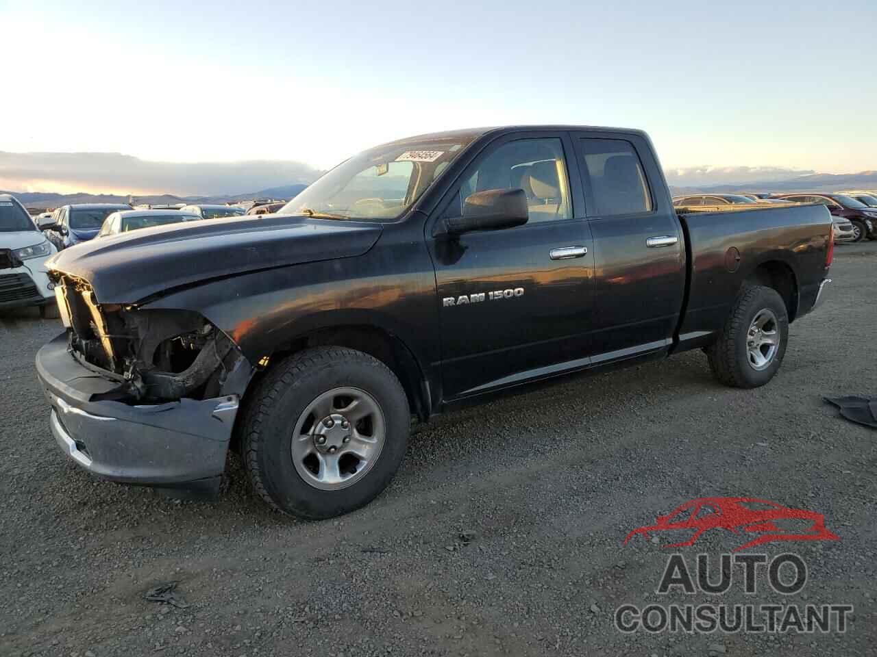 DODGE All Models 2011 - 1D7RB1GPXBS663485