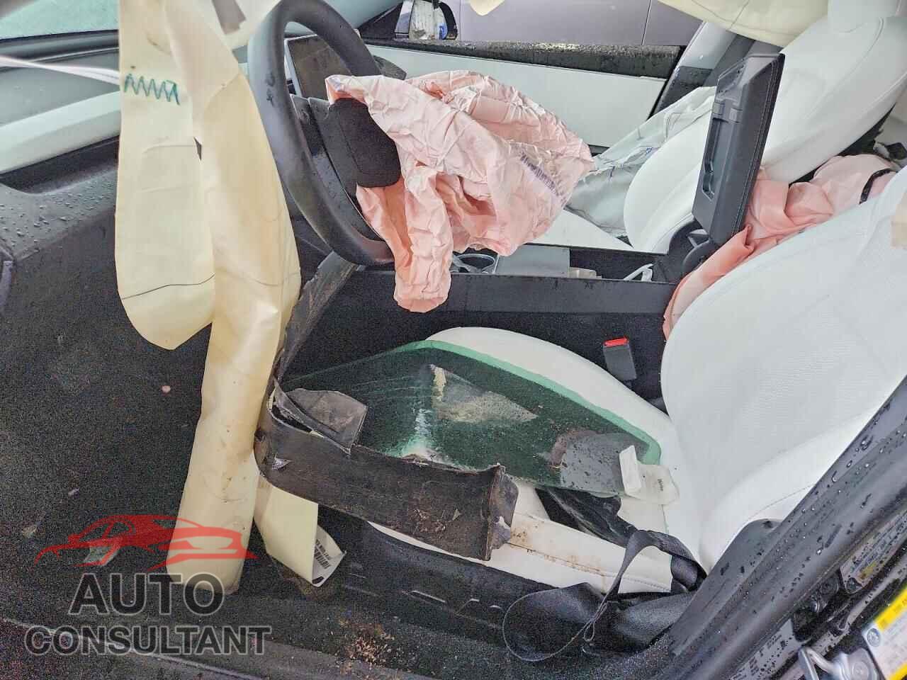 TESLA MODEL 3 2024 - 5YJ3E1EA3RF867882