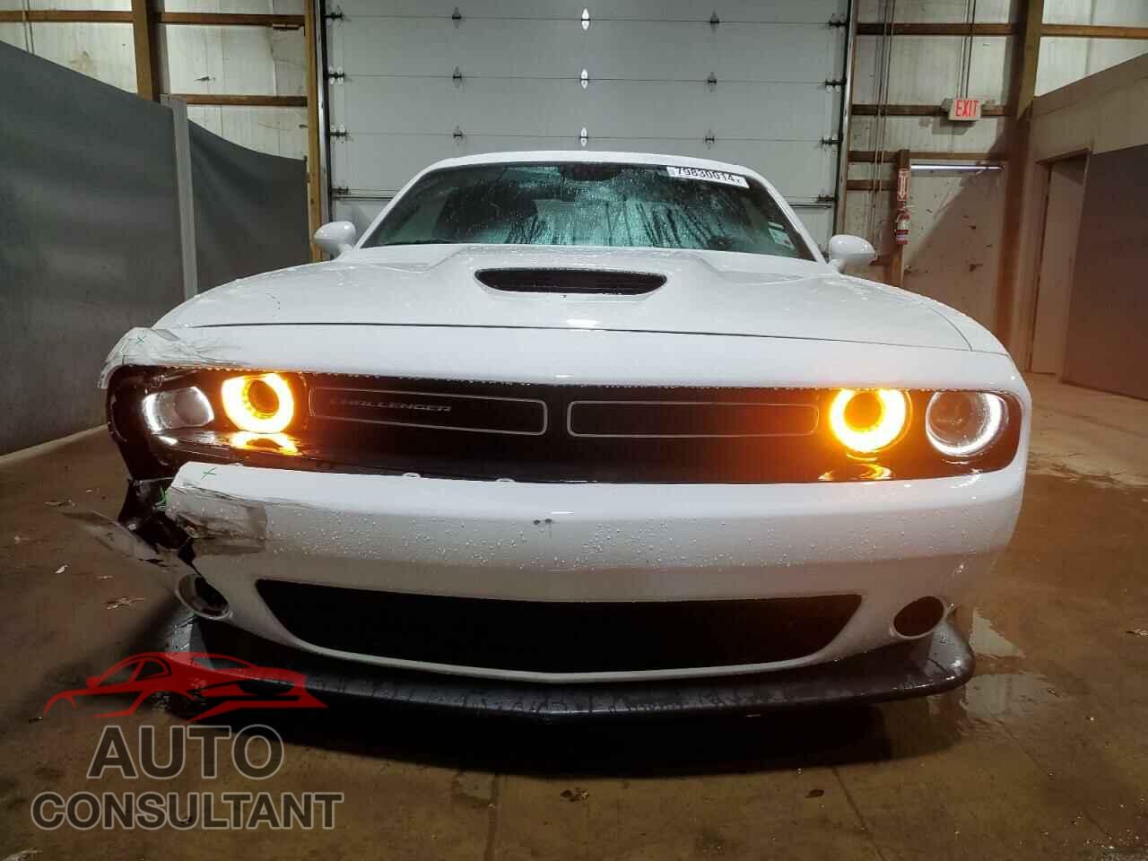 DODGE CHALLENGER 2023 - 2C3CDZBT9PH504103