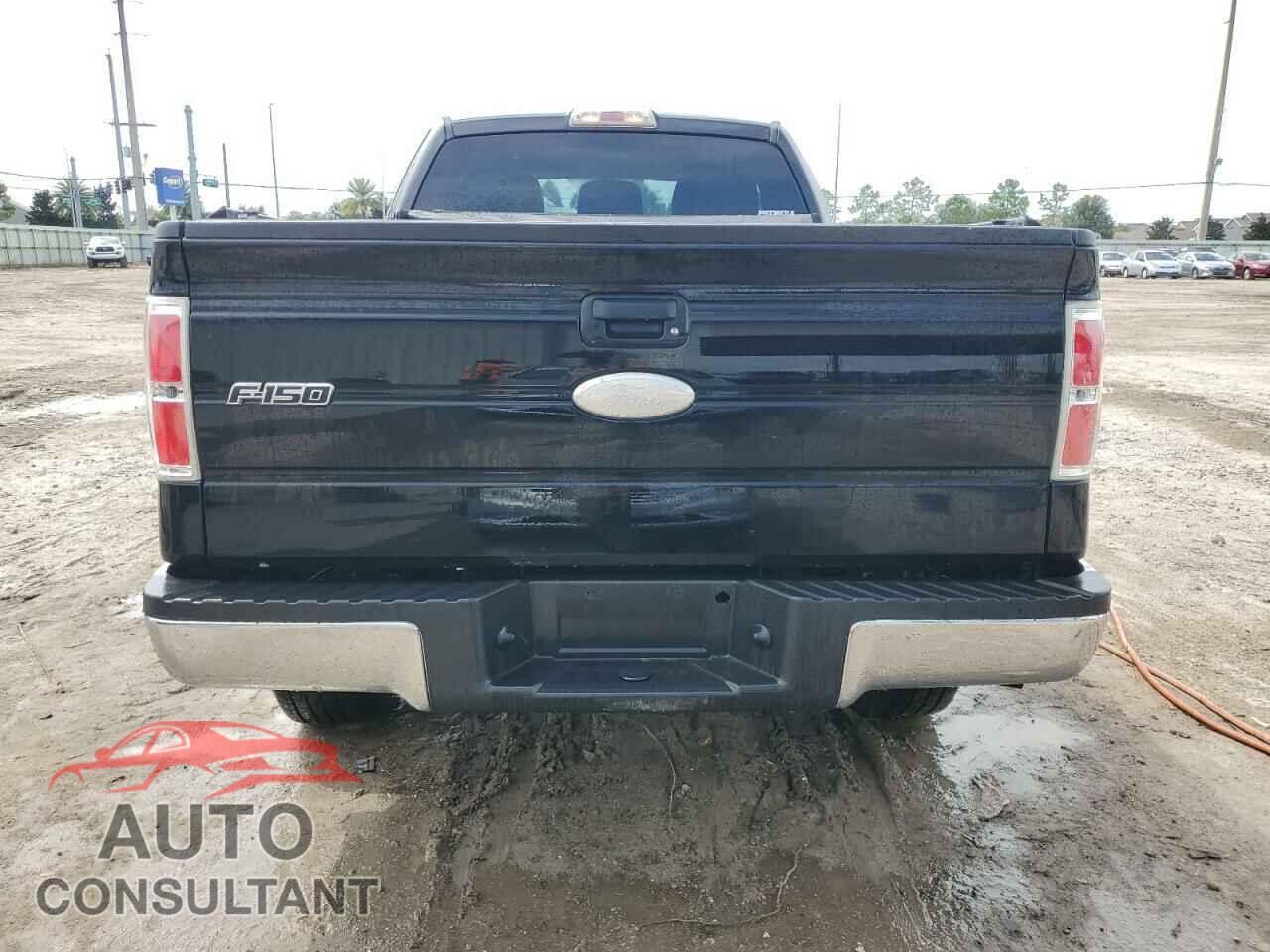FORD F-150 2011 - 1FTFX1ET2BFC80096