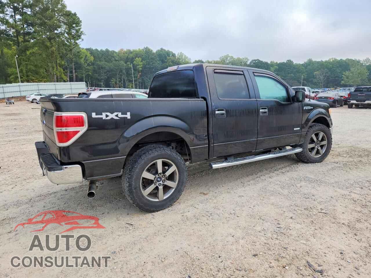 FORD F150 2013 - 1FTFW1ET6DFD89151