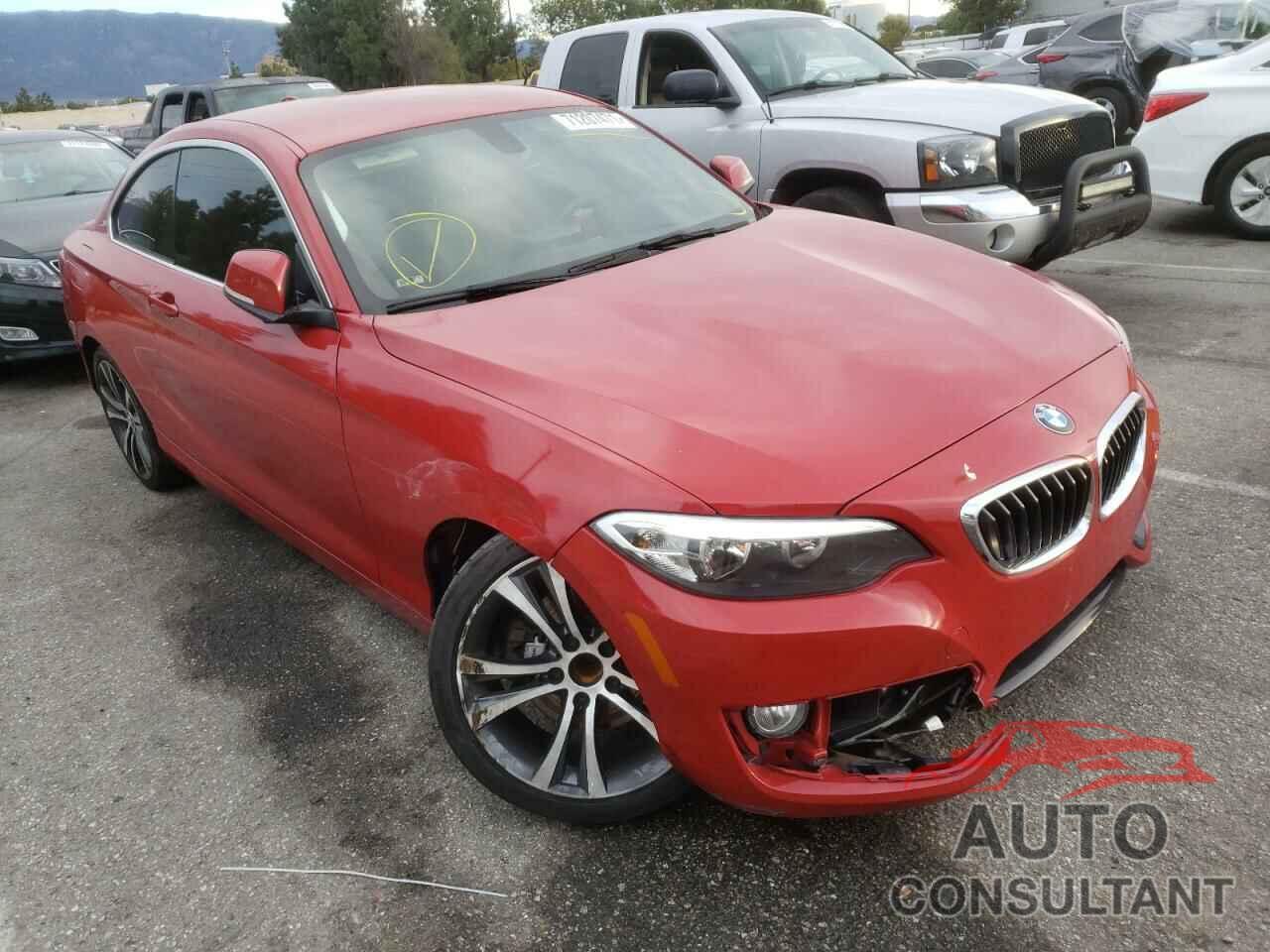 BMW 2 SERIES 2016 - WBA1F9C53GV545022