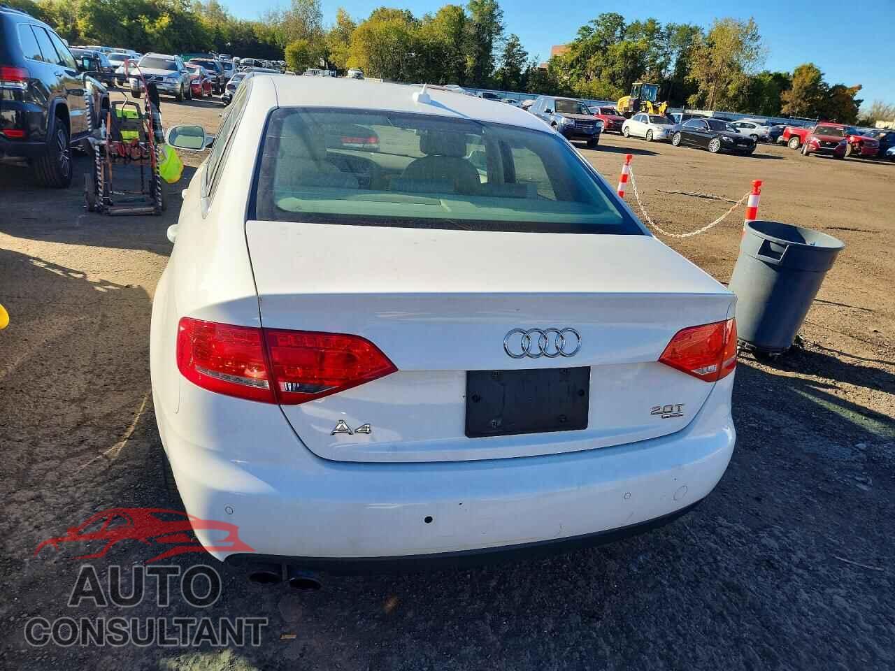 AUDI A4 2010 - WAUFFAFL3AN066978