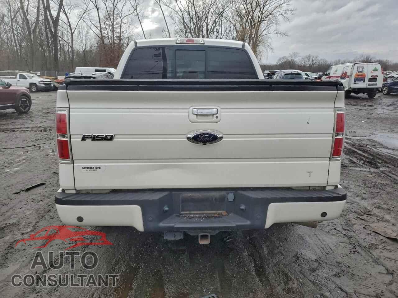 FORD F-150 2013 - 1FTFW1ET0DFD73088