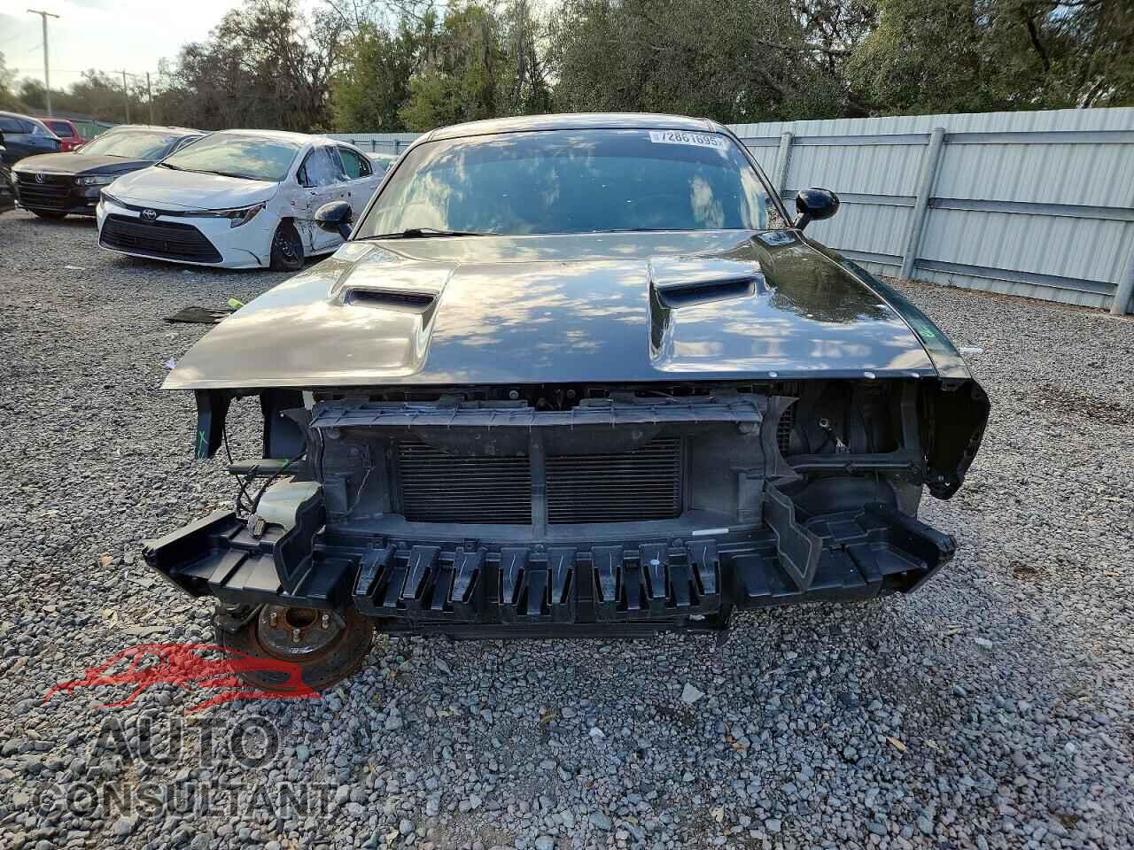 DODGE CHALLENGER 2019 - 2C3CDZAG5KH744116