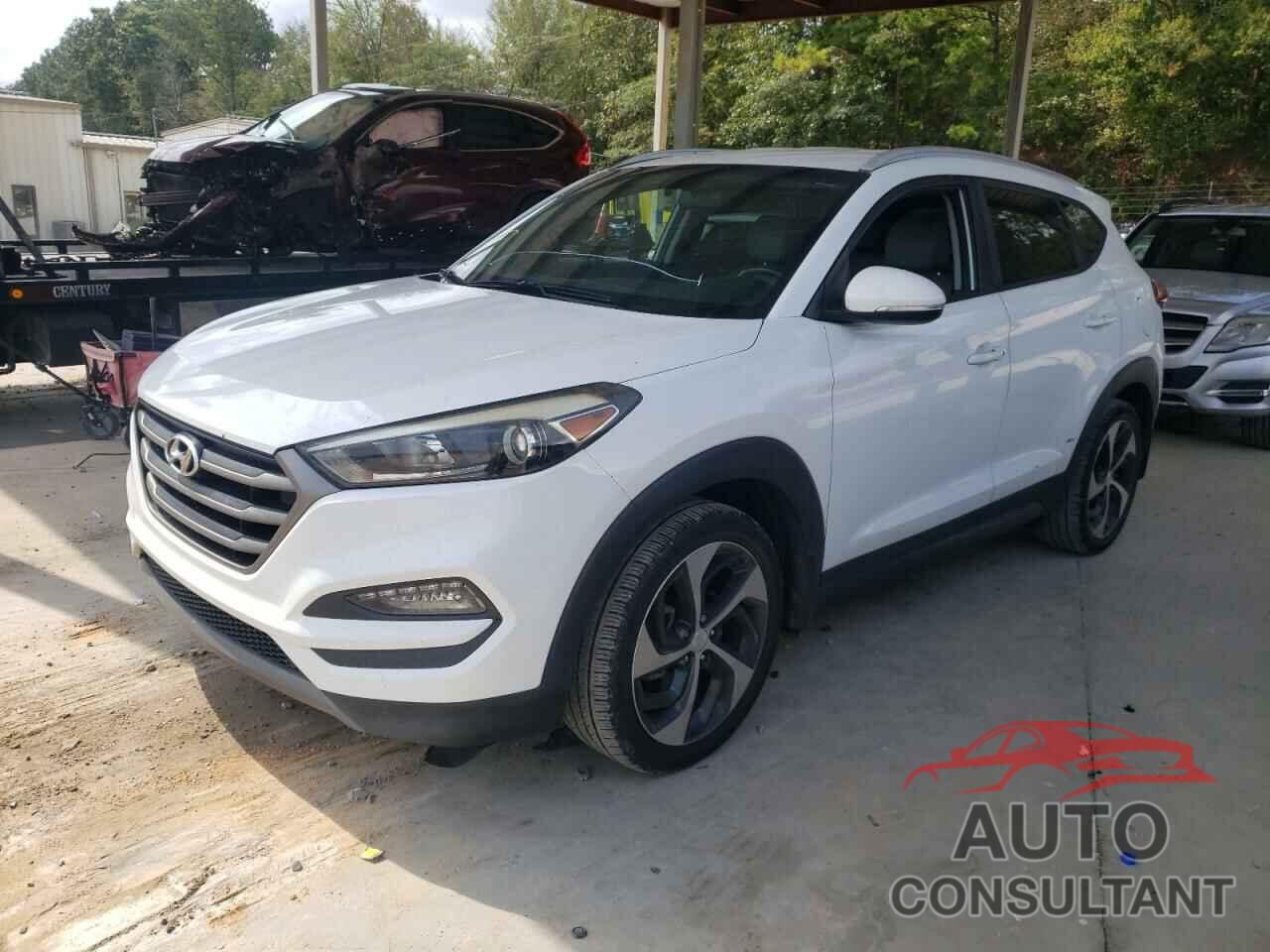 HYUNDAI TUCSON 2016 - KM8J33A25GU215367