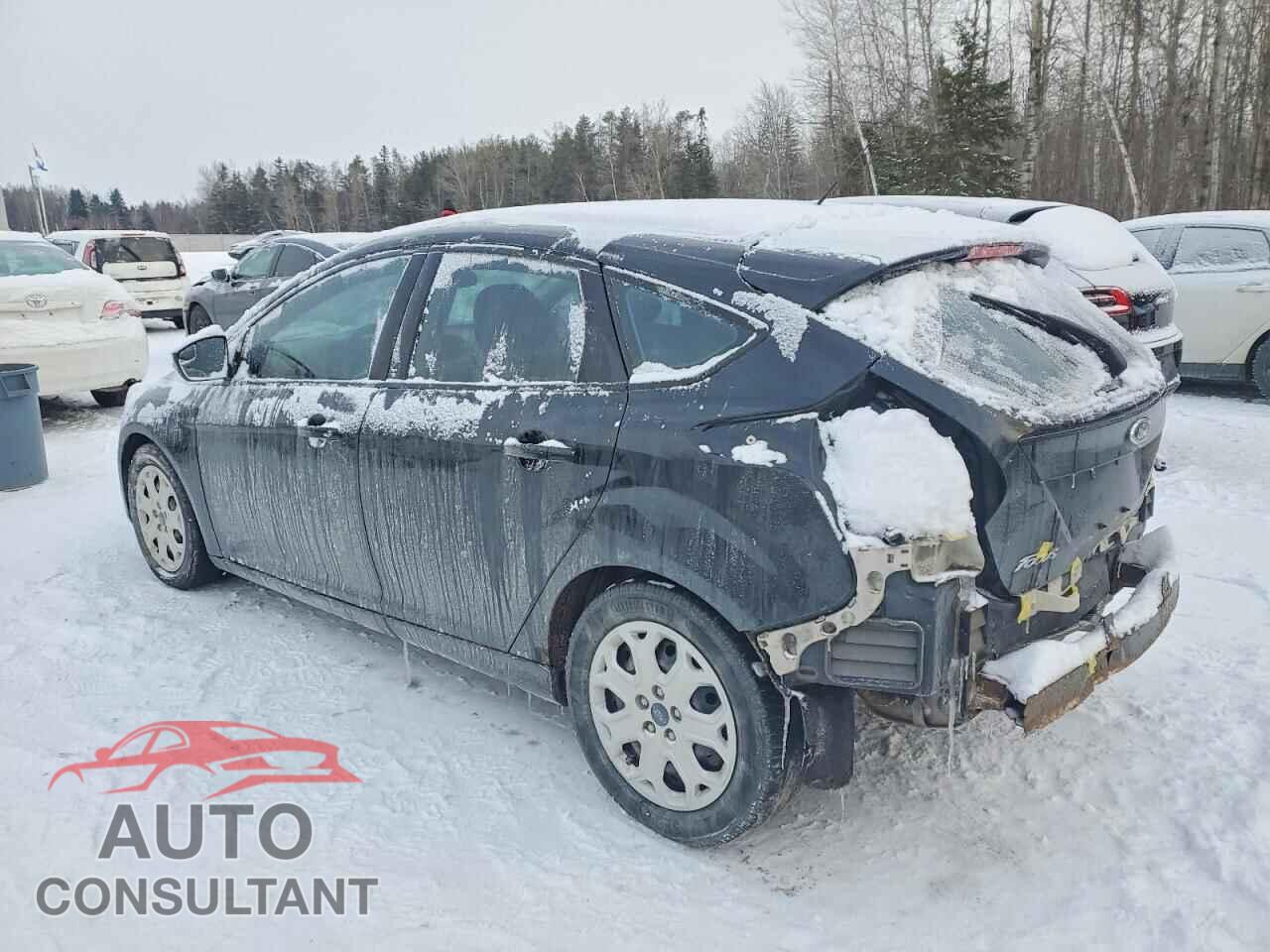 FORD FOCUS 2014 - 1FADP3K23EL384543