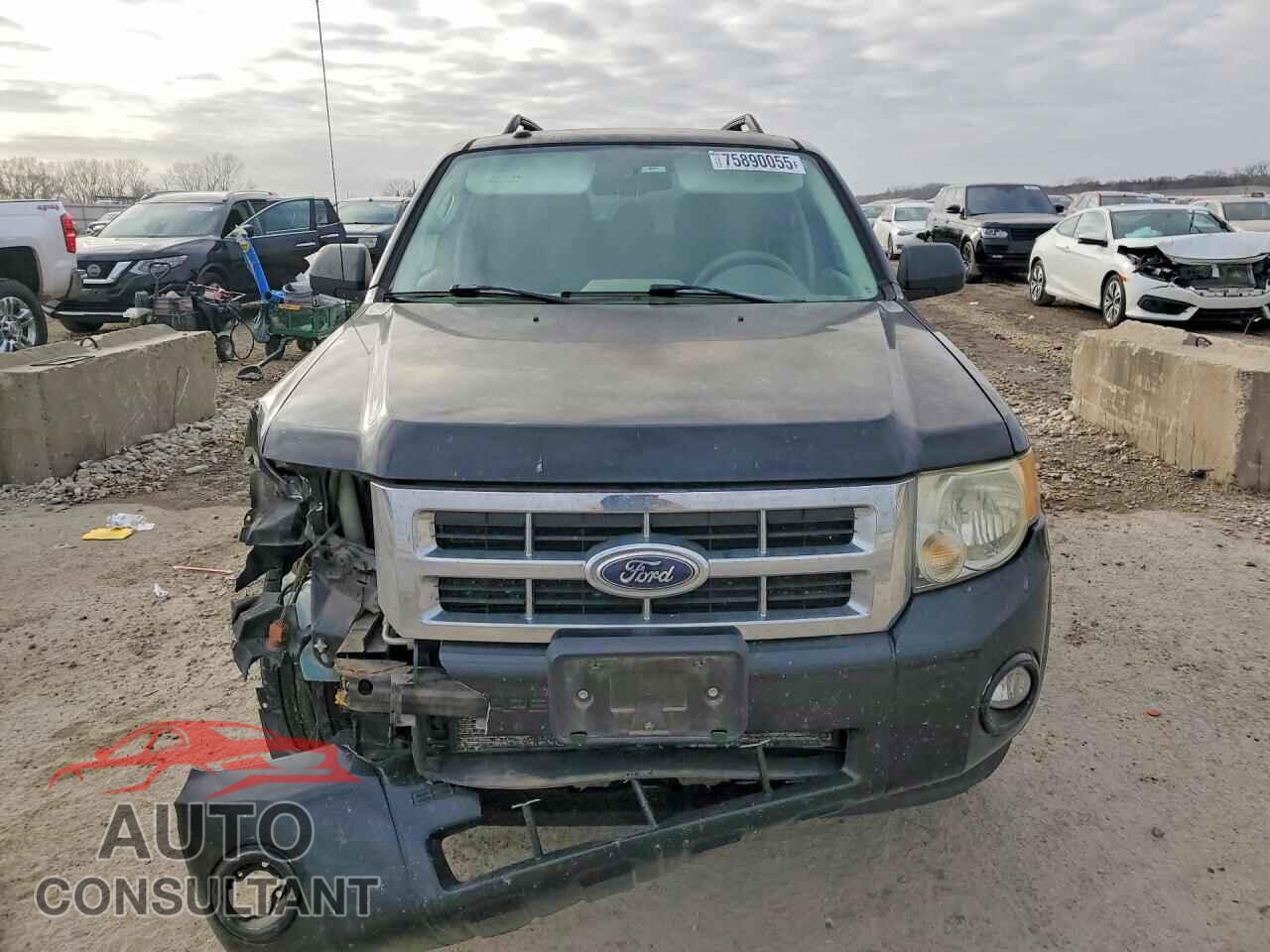 FORD ESCAPE 2010 - 1FMCU0D79AKB28585
