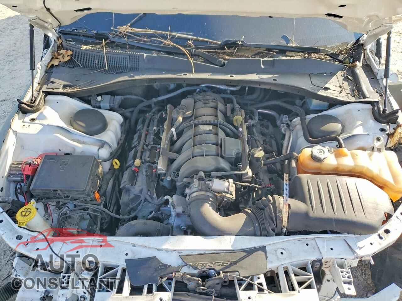 DODGE CHARGER 2019 - 2C3CDXCT3KH738443
