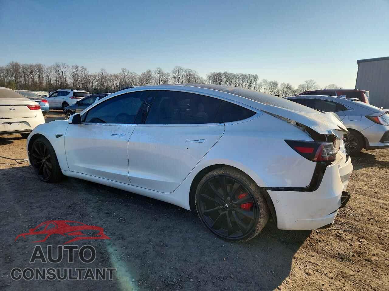 TESLA MODEL 3 2020 - 5YJ3E1ECXLF719477