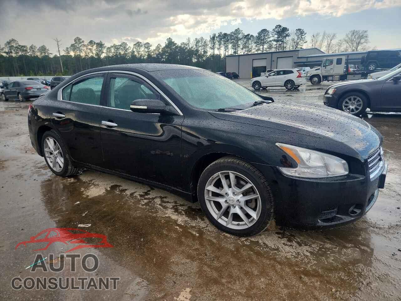 NISSAN MAXIMA 2010 - 1N4AA5AP3AC853993