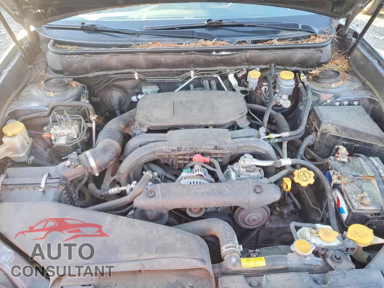 SUBARU OUTBACK 2011 - 4S4BRBCC5B1323372