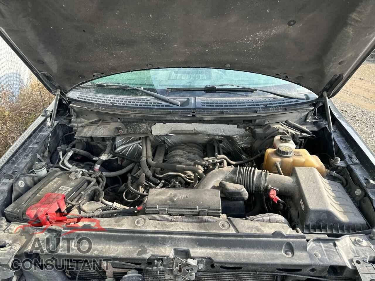 FORD F-150 2012 - 1FTFW1EF2CFC43290