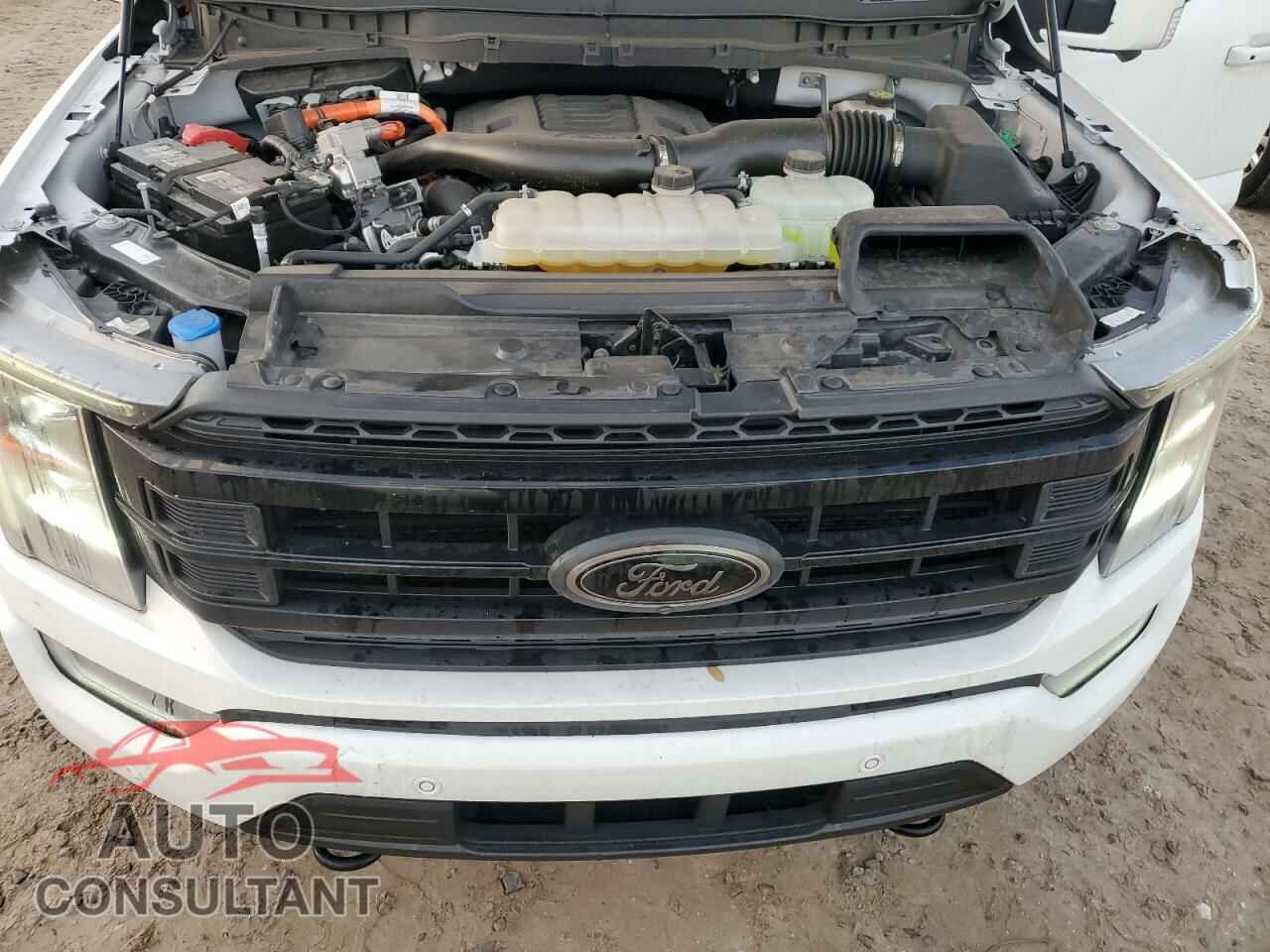 FORD F-150 2022 - 1FTFW1ED0NFB56215
