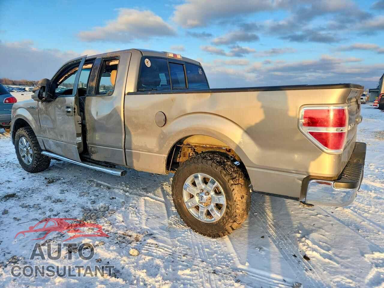 FORD F150 2014 - 1FTFX1EFXEFB08994