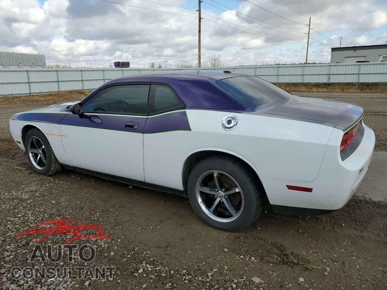 DODGE CHALLENGER 2010 - 2B3CJ4DVXAH321534