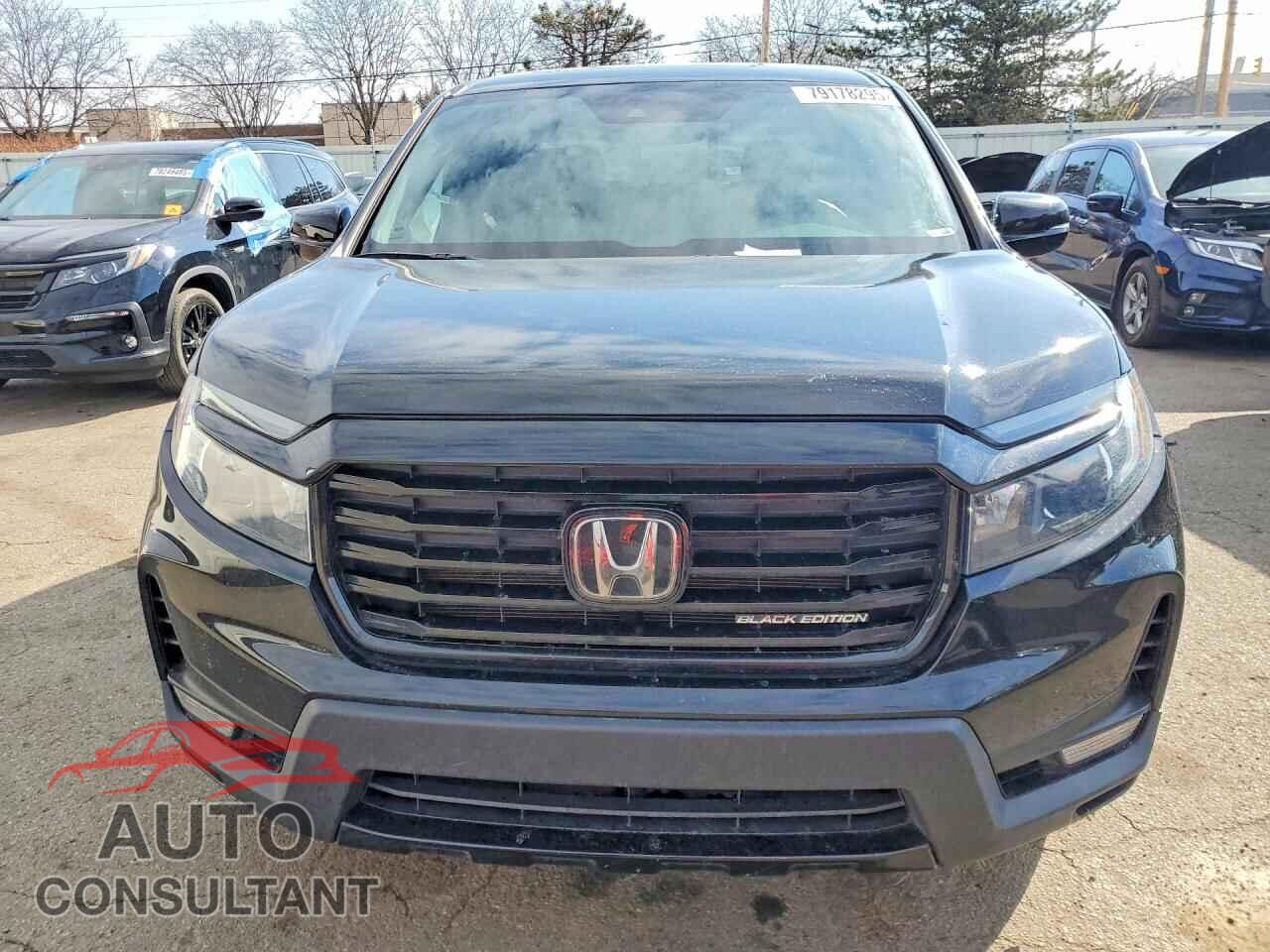 HONDA RIDGELINE 2022 - 5FPYK3F86NB025741