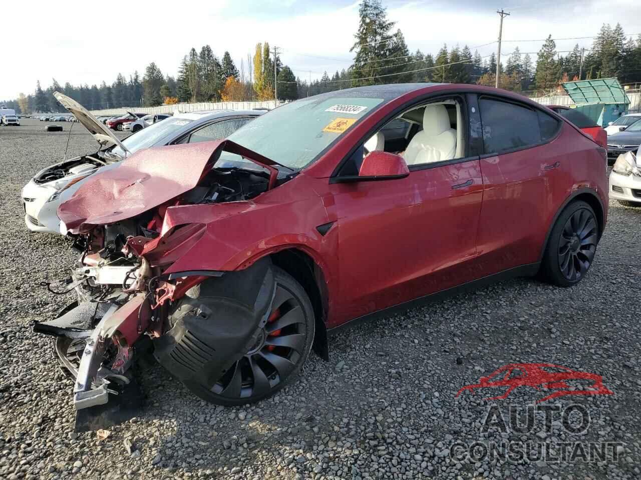 TESLA MODEL Y 2024 - 7SAYGDEF6RF104853