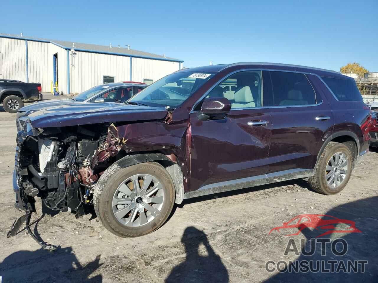 HYUNDAI PALISADE 2025 - KM8R24GE1SU819794