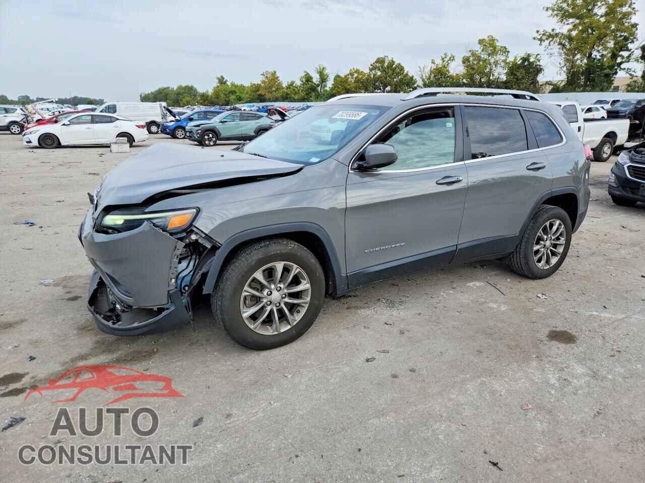 JEEP CHEROKEE 2019 - 1C4PJLLB9KD371020