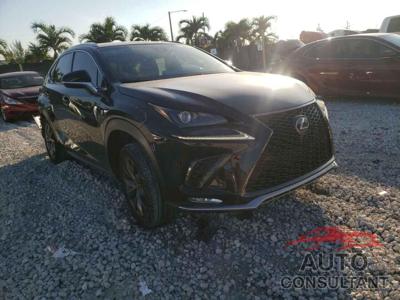 LEXUS NX 2019 - JTJYARBZ4K2126043