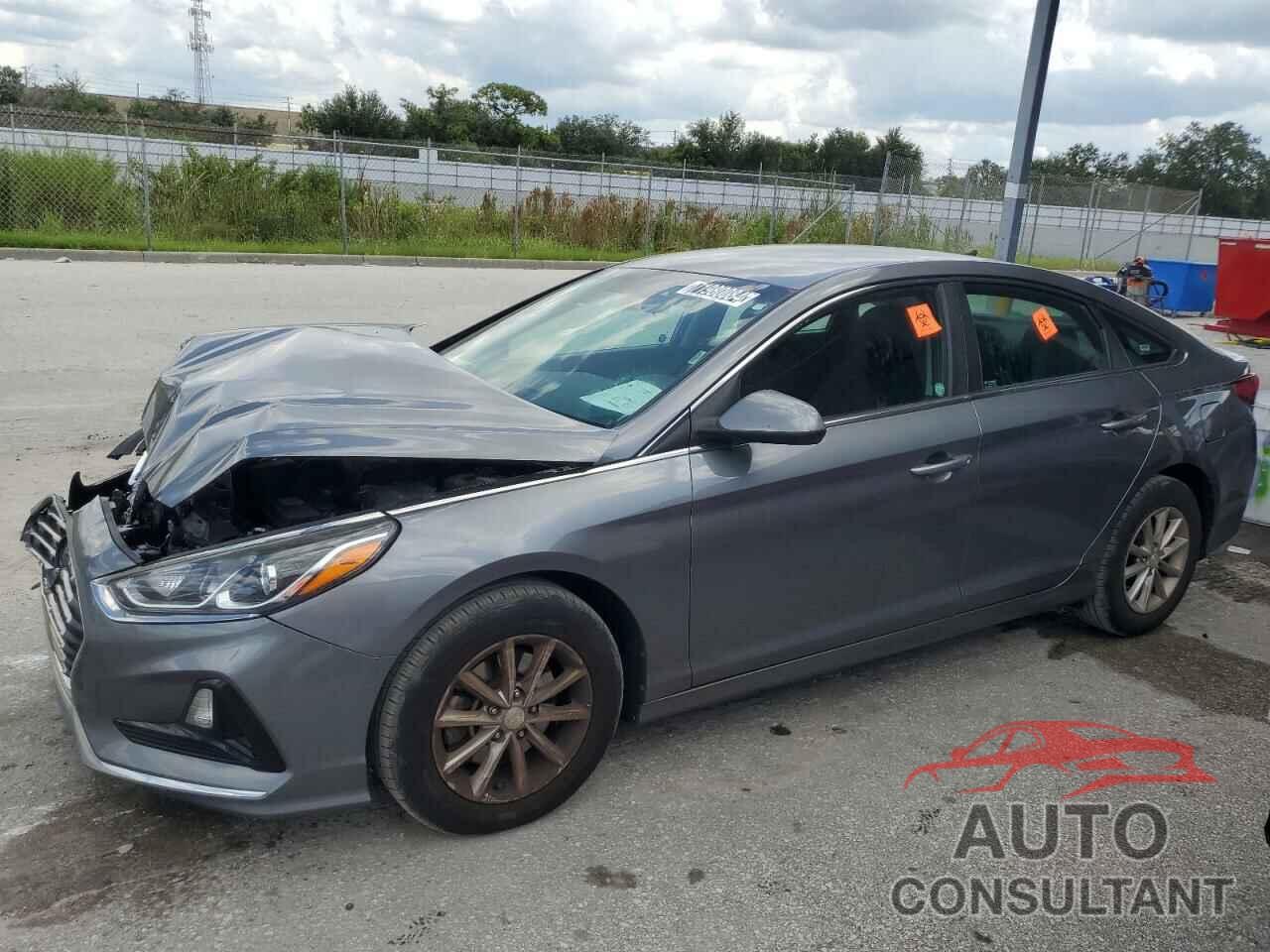HYUNDAI SONATA 2019 - 5NPE24AF5KH759226