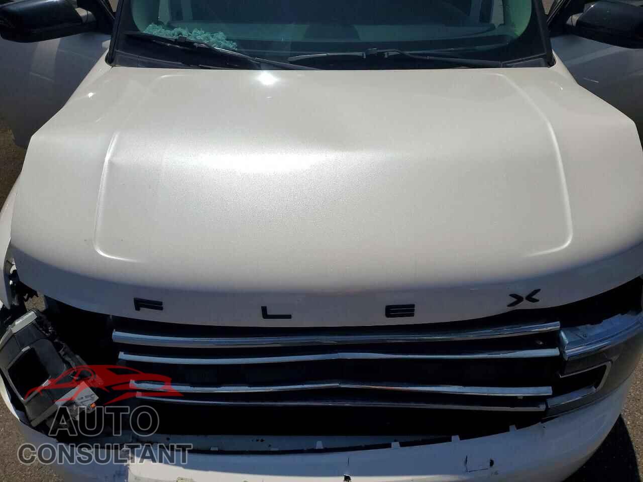 FORD FLEX 2019 - 2FMGK5C88KBA01577
