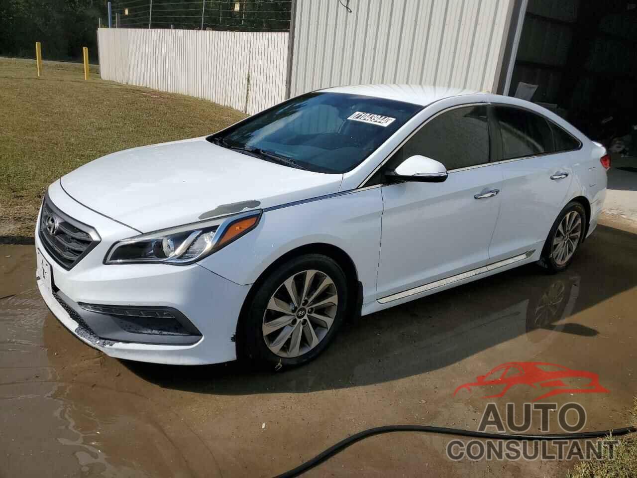 HYUNDAI SONATA 2016 - 5NPE34AF1GH419298