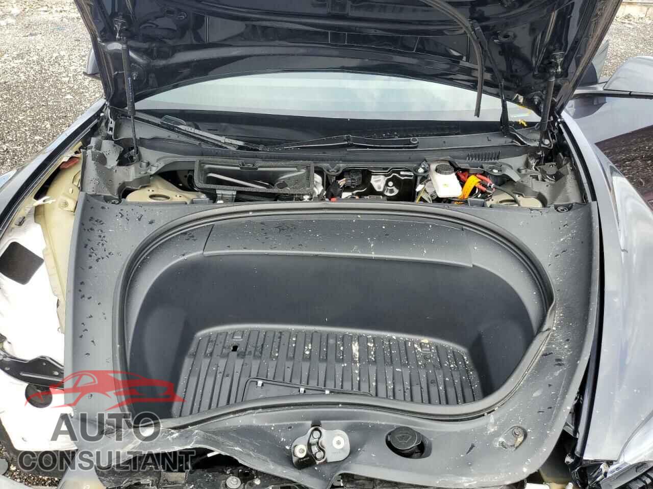 TESLA MODEL 3 2024 - 5YJ3E1EA1RF724493