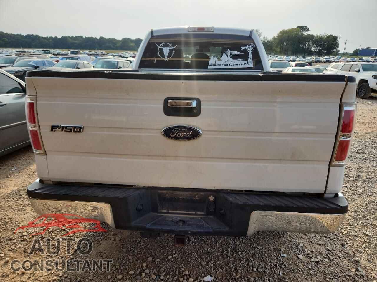 FORD F-150 2012 - 1FTFX1EF3CFB06419