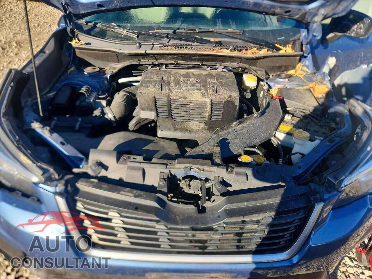 SUBARU FORESTER 2019 - JF2SKAECXKH504069