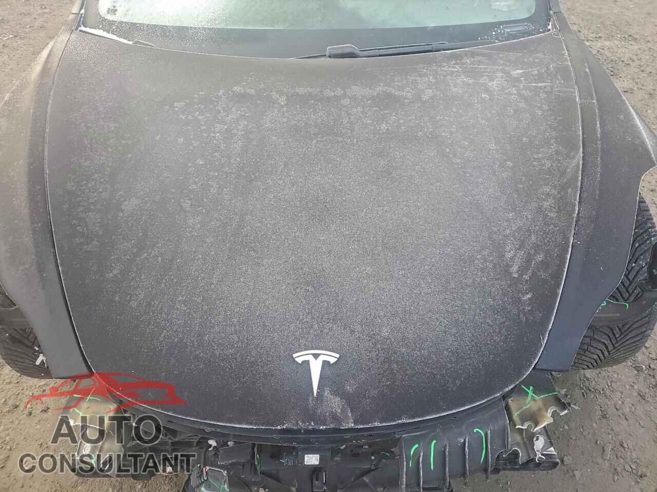 TESLA MODEL 3 2019 - 5YJ3E1EA1KF193141